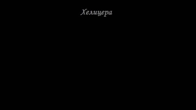 Хелицера - Трансцендентное Крушение Марии Целесты