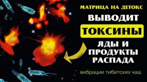 ОЧИЩЕНИЕ ВСЕГО ТЕЛА ОТ ТОКСИНОВ и ЯДОВ ЗВУКОМ ТИБЕТСКИХ ЧАШ