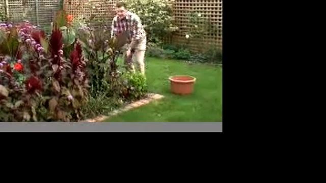 Lift Cannas смотреть онлайн