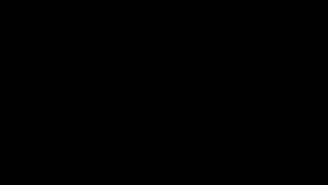 Великая стена (2017)