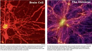 М. Шестов Успех - это результат развития