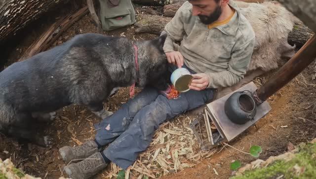 ХАКАН  SHELTER inside Big TREE - Bushcraft SURVIVAL Camping in the Rain with My Dog