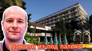 Новости из-под пальмы. Эпизод 5