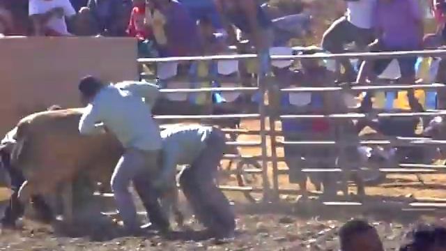 RODEO KAAMULAN 2010 CARAMBOLA 2.AVI смотреть онлайн