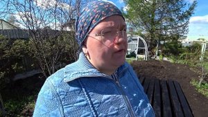 Как правильно выбрать место под новую теплицу