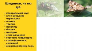 Інсектицид Наповал 🐛 , опис препарату 🐜