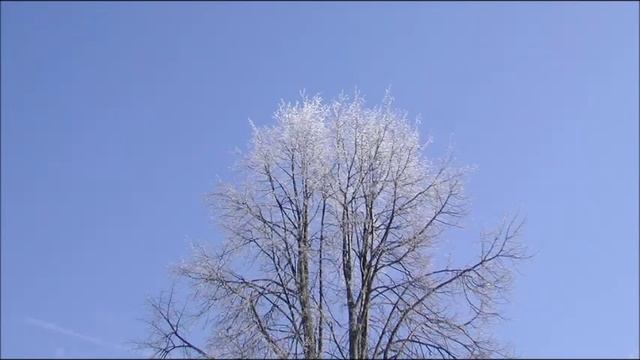 Иеромонах Роман, Ирина Скорик. «Смирение Достоинству кадит…» смотреть онлайн