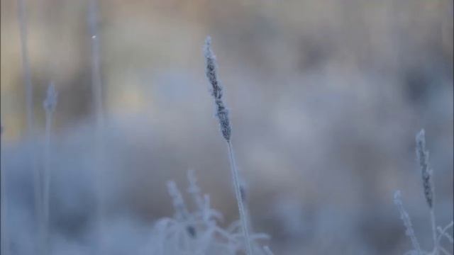 Иеромонах Роман. «Придет зима, она всегда приходит...» смотреть онлайн
