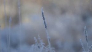 Иеромонах Роман. «Придет зима, она всегда приходит...»