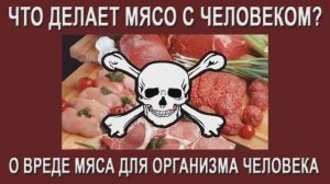 Что делает мясо с человеком? О вреде мяса для организма человека !!!