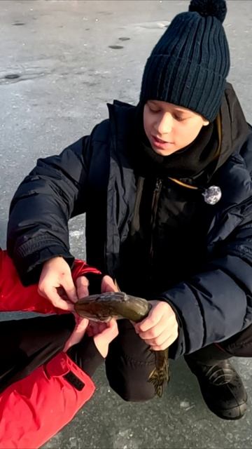 Не суй пальцы в пасть щуке! #fishing #fisherman #рыбалка #рыбак #дети #ловля #рыба #трофей #хищник смотреть онлайн