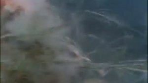 Подводная одиссея команды Кусто