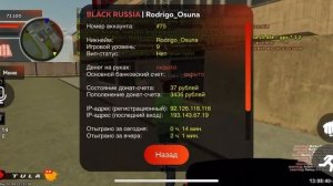 Глобальный слив админки BlackRussia [2 часть]