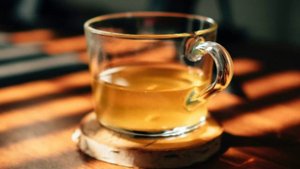 Кора дуба, с ее лечебными свойствами, нашла  широкое применение в медицине