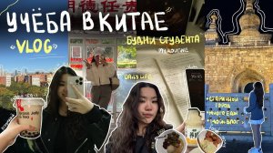 ВЛОГ ПРО КИТАЙ/УЧЕБА | будни студентки, тихий влог, мой камус, встречи с друзьями, Таобао и другое