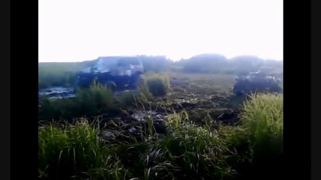 Бегемот Трофи 2014 смотреть онлайн