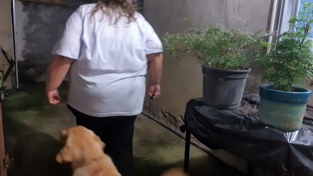 Dia 24 treino 3 смотреть онлайн