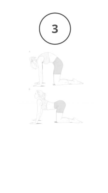 #shorts | Top 5 | Lower Back Pain Relief Exercises | lower back stretches | Physiotherapy смотреть онлайн