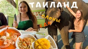 Готовим тайские блюда и моем слонов. Паттайя. Азиатский сад специй и Центр заботы о слонах. Таиланд