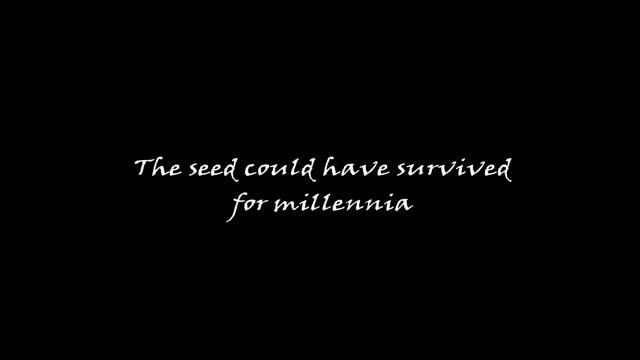 Courage.wmv смотреть онлайн