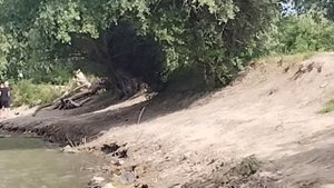 Рыбалка по дороге домой на реке Кубань на поплавок!!!