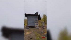 Баня строительство часть 2 (кровля, стены, дверь) 09.09.2023
