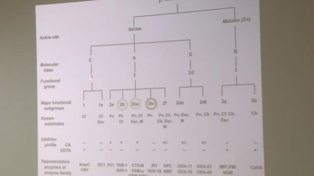 CONCEPTOS MICROBIOLÓGICOS BÁSICOS PARA ENFERMEROS смотреть онлайн