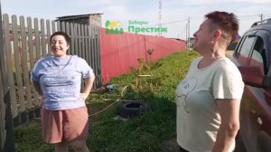 Видеоотзыв Заборы Престиж из евроштакетника