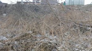 Усадьба Ляхово. 17.02.2025.Набережная. Детская площадка. Волейбольная.Футбол. Мост через Р. Востец.