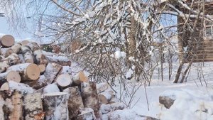 Съездили в город ,обзор товара ,плов на ужин .