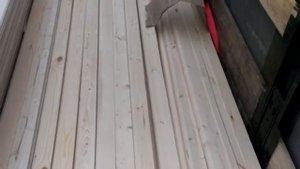 Доска с лунным пазом для изготовления Бани Бочки!