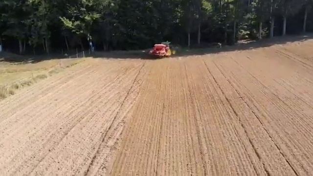 Raps säen LU Moser смотреть онлайн