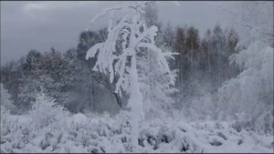 Иеромонах Роман. «Э, дорогой! А мы уже приехали...»