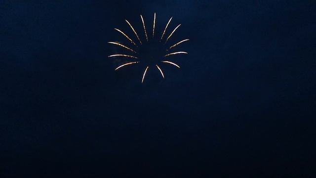 Red Sunflower to Green Tail смотреть онлайн