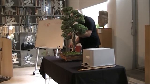 Svenska BonsaiSällskapet. Bonsai bedömning_John Armitage_Juniperus chinensis (Kinesisk en)_2012/09 смотреть онлайн