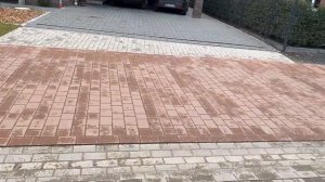 В ГОСТЯХ У ЕЛЕНЫ / часть 1