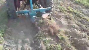 Самодельная вибро-копалка для картофеля.