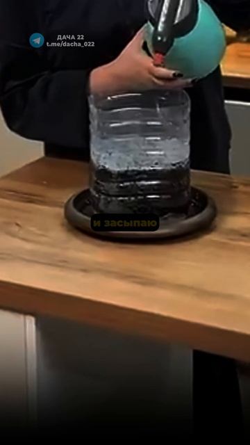 Как просто вырастить ЛУК из СЕМЯН ДОМА #дача #огород #урожай #сад смотреть онлайн