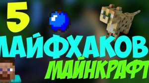 лайфхаки в майнкрафт часть 1 !!!!