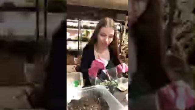 Даем флорариуму вторую жизнь, делаем имитацию воды, уставший менеджер и фотошоп Кейт Миддолтон😂