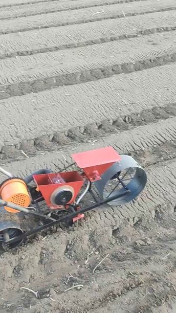 сеем морковь. смотреть онлайн