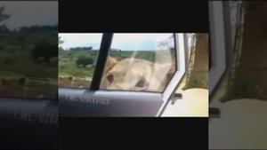САЛАМ АЛЕЙКУМ АЛЕЙКУМ САЛАМ ТИК ТОК ВИДЕО ПРИКОЛ