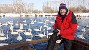 Лебединое озеро в Алтайском крае