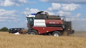 Уборка  пшеницы  VECTOR 410.