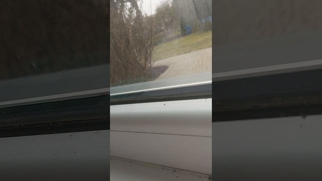 я открыла кафе с названием вкусно и точка🥞🍔🥙🍱 смотреть онлайн