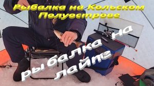 Рыбалка на Кольском Полуострове. Рыбалка на маленьком озере. Рыбалка на озере Кутыр.