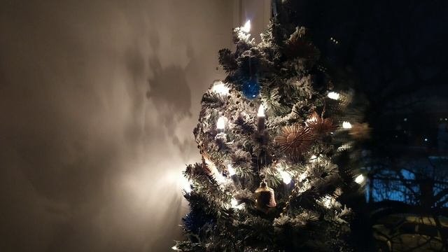 деревенский дневник очень многодетной мамы/ 12 детей?!