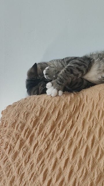 ещё неделю работать