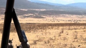 Национальный парк Нгоронгоро кратер потухшего вулкана Танзания 🇹🇿 your guide @adamlayphotography