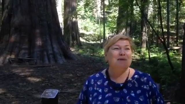 Лемурия- Секвои.